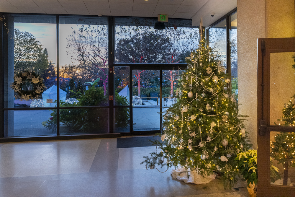 Frost – Cleveland Botanical Garden